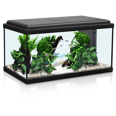 aquatlantis-advance-80-black-led.jpg
