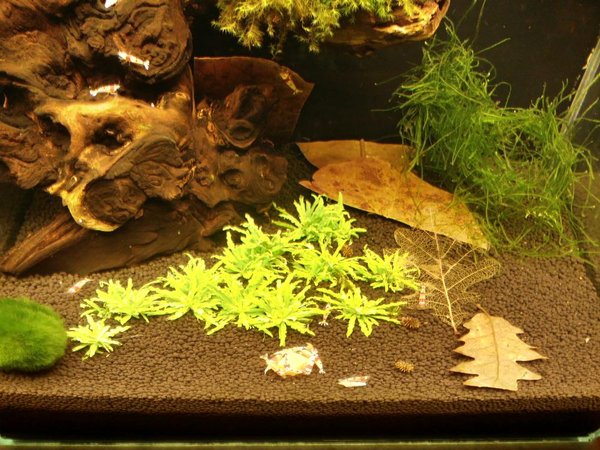 Este tam pojde daka rastlika len neviem co :)