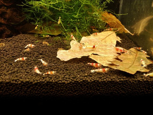 2015-01-03 14.50.28.jpg