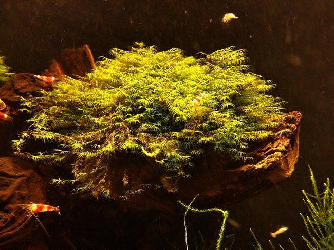 2015-01-03 14.52.03.jpg