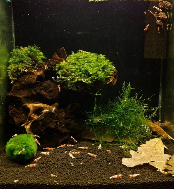 2015-01-03 15.08.31.jpg