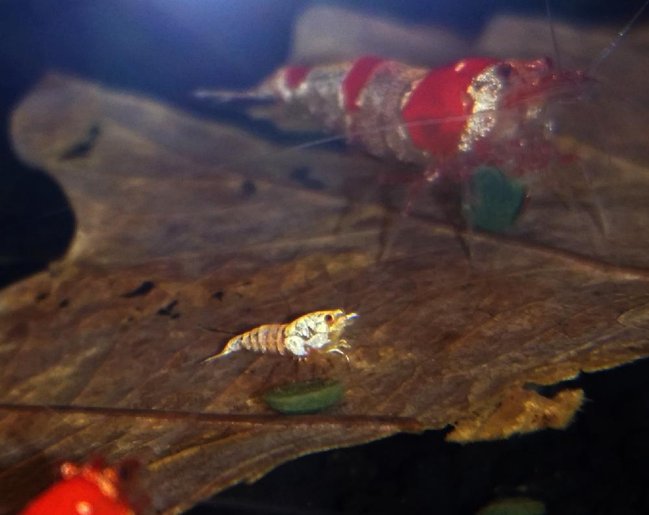 2015-01-03 16.22.41.jpg