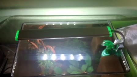 mini - lampa.jpg