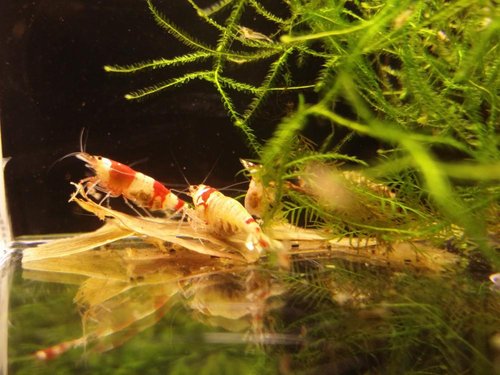 2015-01-20 15.35.50.jpg