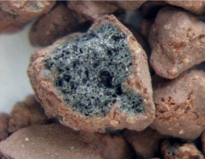 tetra-active-substrate-6l.jpg