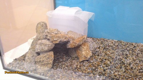 P_20150222_092122_PerfectPhoto.cz_2015-02-22 09-28-08.jpg