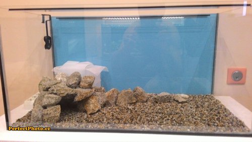 lepenie steny 1_PerfectPhoto.cz_2015-02-22 16-44-43.jpg