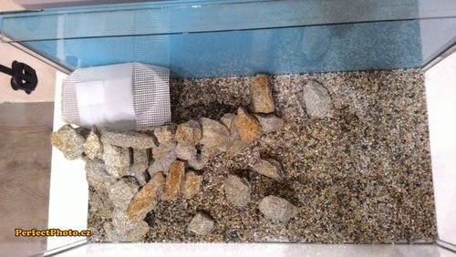 hotovo 2_PerfectPhoto.cz_2015-02-25 20-40-19.jpg