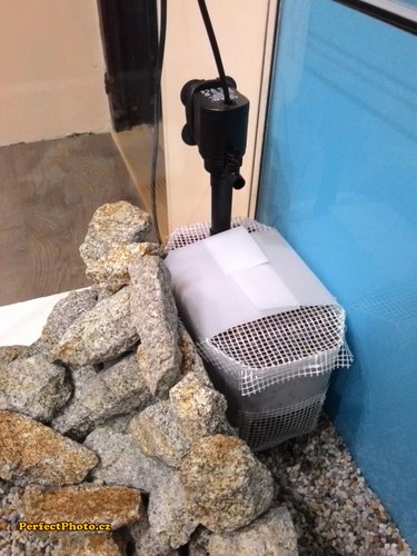 a preniesol do akvária