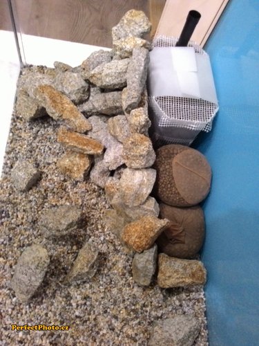 2 mi nestačili tak som musel ukradnúť este jeden pár