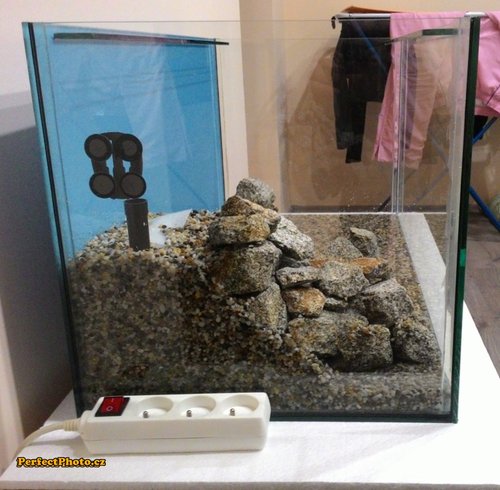 bok sa krasne stratil