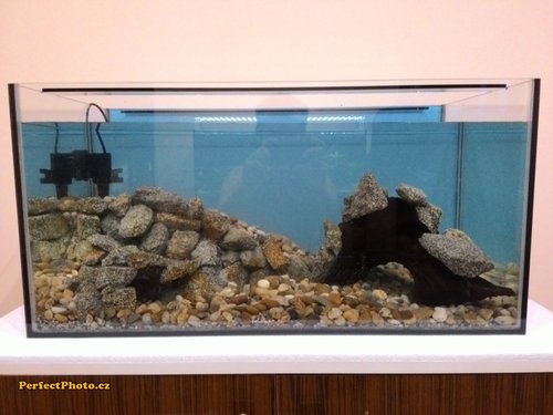 foto_PerfectPhoto.cz_2015-02-27 18-55-51.jpg