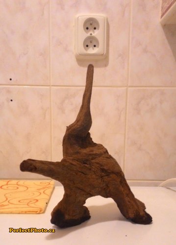 drevo 2-1_PerfectPhoto.cz_2015-03-08 19-31-50.jpg