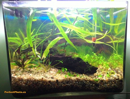 aktualne foto po prerabke