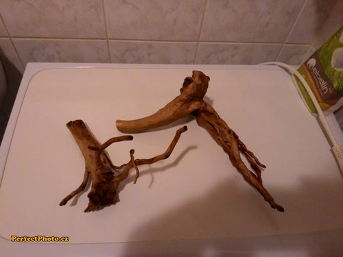 korene 1_PerfectPhoto.cz_2015-03-16 21-42-53.jpg