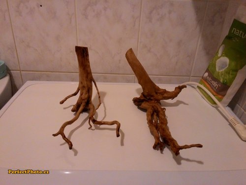 korene 2_PerfectPhoto.cz_2015-03-16 21-43-34.jpg