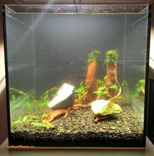 P_20150318_204807_PerfectPhoto.cz_2015-03-18 21-36-02.jpg