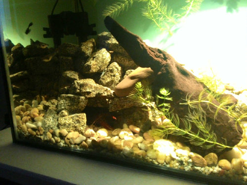 najprv sa schoval a tvaril sa, ze nevylezie