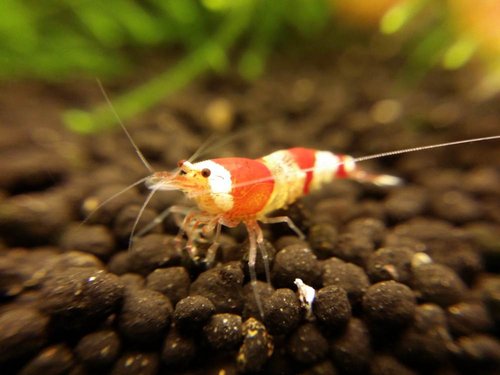 2015-03-31 21.39.05.jpg