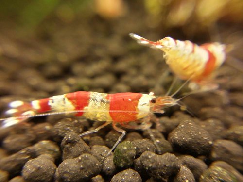 2015-03-31 21.44.46.jpg