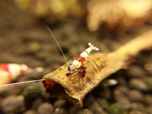 2015-03-31 21.49.07.jpg