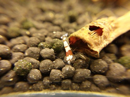 2015-03-31 21.53.52.jpg