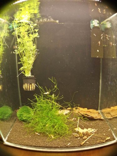 2015-03-31 22.10.50.jpg (108.1 KiB) 7829 zobrazení Po prerabke...