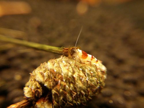 2015-03-31 21.57.06.jpg