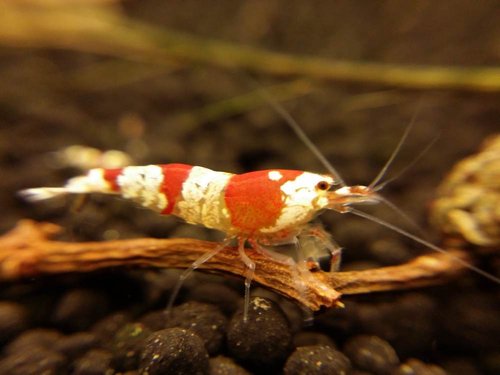 2015-03-31 22.03.29.jpg