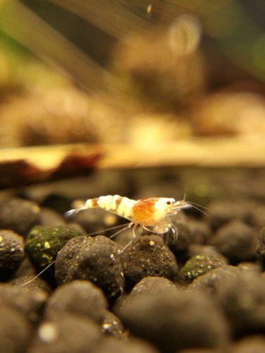 2015-03-31 22.09.02.jpg