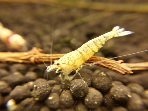 2015-03-31 22.16.19.jpg