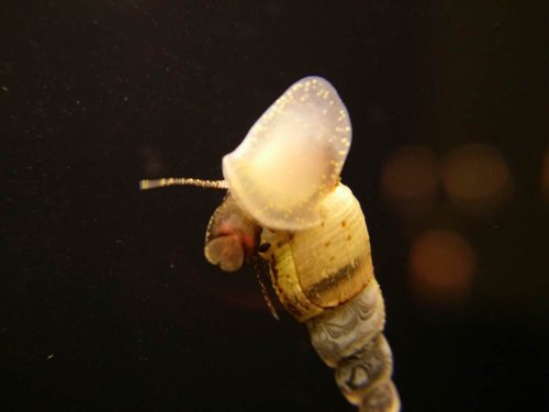 2015-03-31 22.01.28.jpg