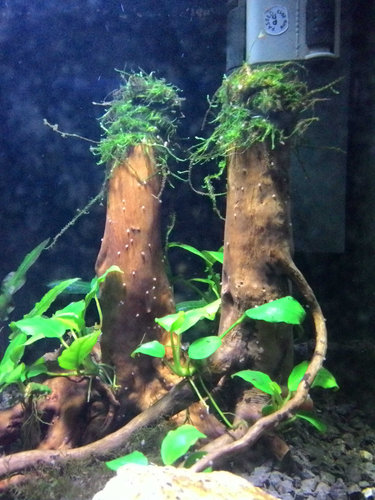 orange baby kotulky-.jpg