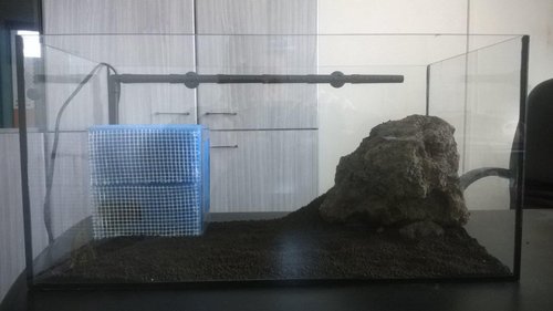 WP_20150410_002.jpg (98.5 KiB) 8175 zobrazení akva bez vody