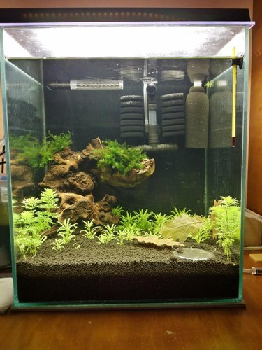 2014-10-20 16.33.28.jpg