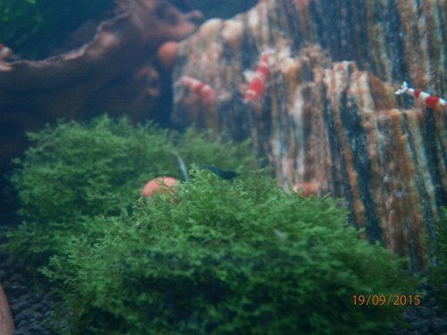 aj ja raz budem velka