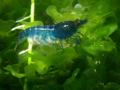 2016-02-21 16.18.50.jpg