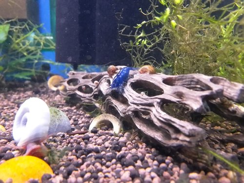 2016-03-02 12.58.17.jpg