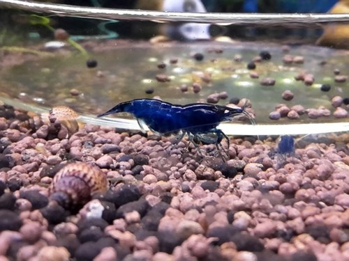 2016-03-02 14.59.19.jpg