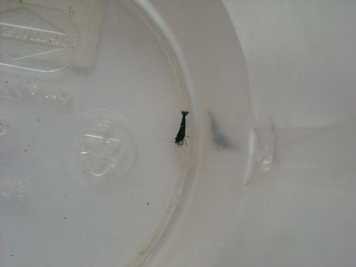 xDSCN0558.jpg
