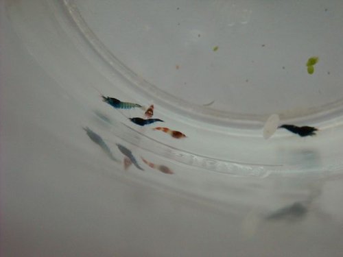 xDSCN0560.jpg