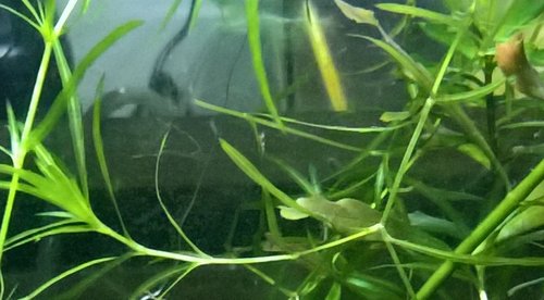 xWP_20160902_10_37_57_Pro.jpg