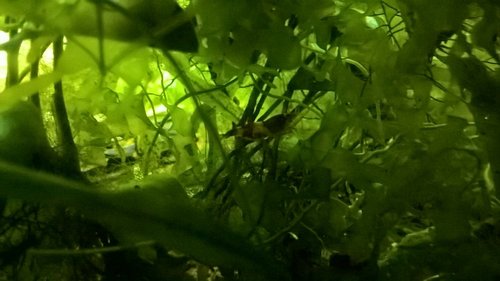 xWP_20160905_17_59_34_Pro.jpg