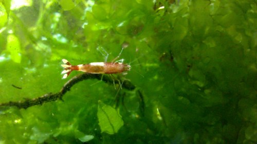 WP_20160907_12_04_42_Pro.jpg