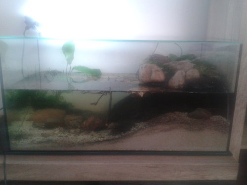 2014-12-13 13.36.28.jpg