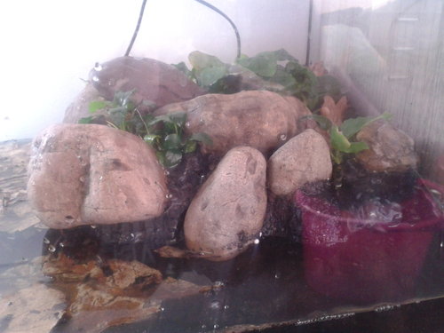 2014-12-13 13.37.57.jpg