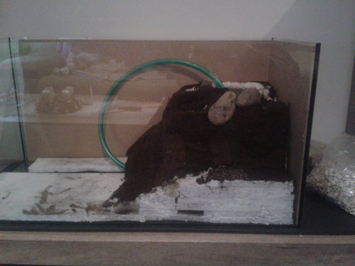 2014-12-08 19.41.28.jpg