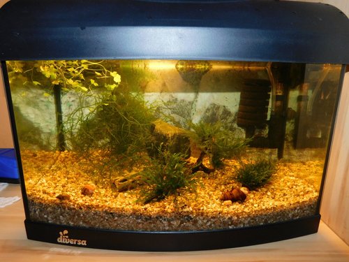 DSCN1209.JPG