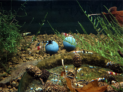 Tourmaline_Ceramic_Balls.jpg