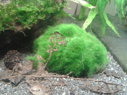 2015-02-16 17.48.54.jpg